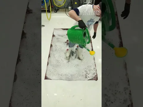 This Rug Was ACTUALLY MOVING… Wait Until You See What’s Underneath.