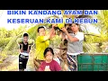 Download Lagu PERGI KE KEBUN TANAM DAUN SINGKONG DAN METIK KELAPA MUDA