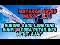 Download Lagu MURAI BATU GACOR FULL ISIAN!! Masteran Terlengkap, Ngeroll Panjang \u0026 Tembakan Rapet!!