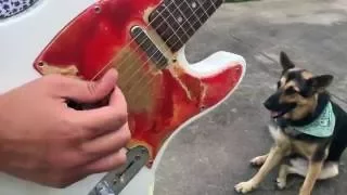 Alyssa s Pickguards Fall in Love With Your Guitar Again