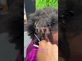 Instant Starter Locs by NappStar