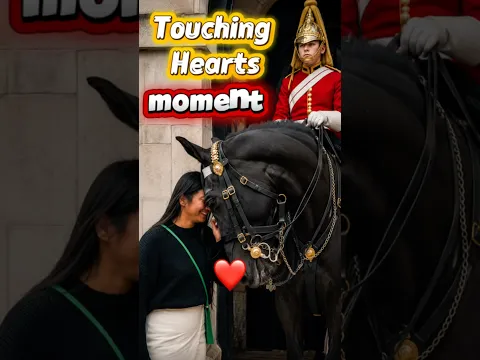Touching heart ❤️❤️ #horse #horseguardsparade #tourist