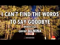 Download Lagu I CAN'T FIND THE WORDS TO SAY GOODBYE - NINA - with lyrics