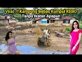 Download Lagu Viral..!! Kampung Bebas Kumpul KEBO Tanpa Ikatan Yang Lagi Viral Di Jawa Timur