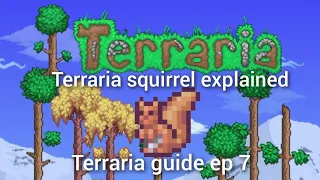 terraria squirrel explained terraria guide ep 7