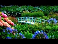 Download Lagu 10 hours Relaxing Soothing Music, AMAZING Beautiful Nature with Peaceful  Music in 4k, by Tim Janis