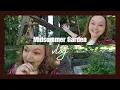 Download Lagu Midsummer Garden Update + Another Gnome Sighting + Prosperity Talisman Update