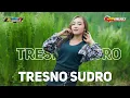 Download Lagu DJ TRESNO SUDRO - DJ INTAN NOVELA | Dj Campursari Terbaru Paling Mantap