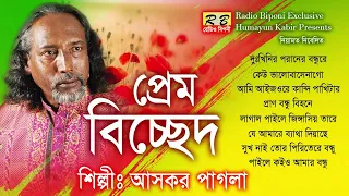 দুঃখিনির পরানের বন্ধুরে ও বন্ধু আদরেরই ধনরে তোমায় আমার বুকে লইয়া হইবনি মরণরে তুমি বিনে। আসকর পাগলা