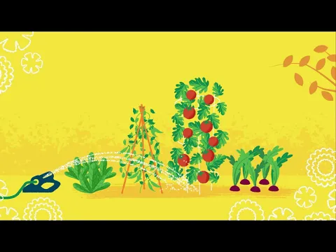 Miracle-Gro Animation social media video