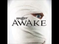 Download Lagu Skillet - Should've When You Could've