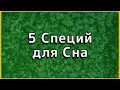 Channel