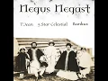 Negus Negast