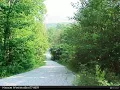 Bronston KY Land for Sale - 25 Echo Point Farms Road