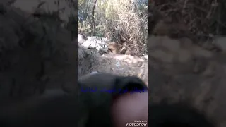 شوفو الحشد الابطال 😲