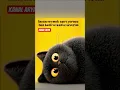 Download Lagu Kedi ve kahve #seniseverdim #seni #cat #kedi #dog #köpek #animals #kahve #coffee #sevgi #love #hit