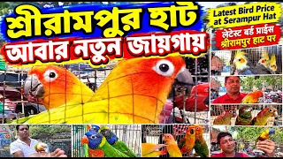 Serampur Bird Market 2026 😀শ্রীরামপুর হাট আবার নতুন জায়গায়😀All Bird Price😀 Cheap Price😀25/10/26