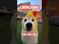 Download Lagu GWENCHANA 4️⃣ Deng Deng Deng #cutenessoverload