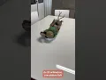 Vídeo do produto