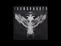 Soundgarden - Live to Rise