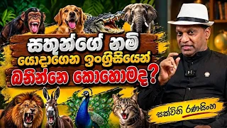 සත්තුන්ගේ නම් යොදාගෙන ඉංග්‍රීසියෙන් බනින්නේ කොහොමද?