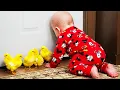 Download Lagu Baby and Pets: The Ultimate Cutest Team - Funny Babies Videos || COOL PEACHY🍑