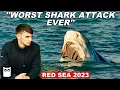 The Most Infamous Shark Attack Of All Time Hurghada Shark Attack Red Sea Short Documentary