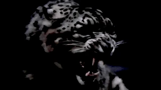 singah balance it slowed u0026 reverb