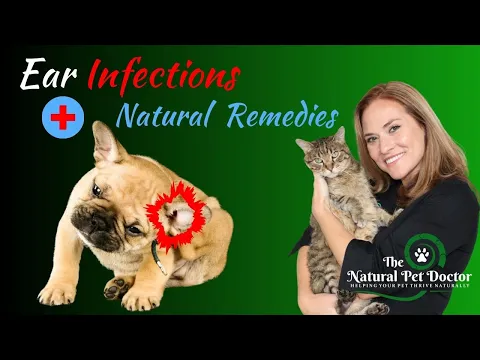 Download MP3 Natural Remedies for Dog and Cat Ear Infections - Holistic Vet Advice