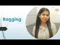 Bagging Ensemble Learning Machine Learning
