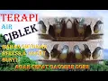 Download Lagu TERAPI BURUNG CIBLEK SEMUA JENIS ,pas buat burung bahan,omyokan,stress,\u0026 macet bunyi