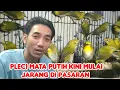 Download Lagu  EDI JOVANIS.. BURUNG .PALING DI CARI PLECI MATA PUTIH 