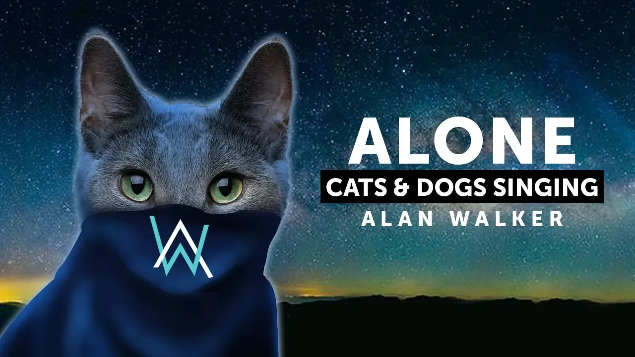 Cats & Dogs Singing Alone - Alan Waker