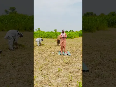 Ek Muslim Mazdoor Aur Hindu Malkin