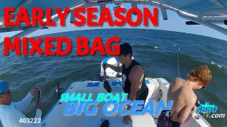 Episode 3 – Early Season mixed Bag