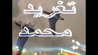 محمد وردي الطير المهاجر كلمات صلاح احمد ابراهيم 