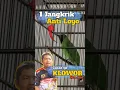 Download Lagu Bukan Hemat‼️1 Jangkrik Full Tenaga , Cucak Ijo Klowor Umur 11 Tahun Materi Panjang Jinjing Petulak.