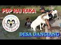 Download Lagu Ngebolang ke Desa Dawungsari Bertemu Bobotoh Domba yang Mau Memandikan Domba Tangkas