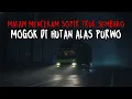 Lagu MALAM MENCEKAM !! PENGALAMAN HOROR SOPIR TRUK SEMBAKO MOGOK DI HUTAN ALAS PURWO