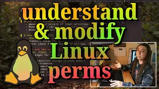 the absolute basics of file permissions chmod and octals you need to know