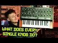 POWERTRAN TRANSCENDENT 2000 - The Coolest DIY Mono Synth Of The 1970 s