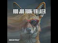 Hou jou trane vir later