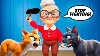 granny gets a new cat and i have to fight it 