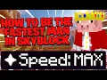 How to Get More Speed in Hypixel Skyblock - Hypixel Skyblock Speed Guide