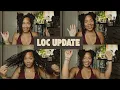 4 Years and 3 Months Loc Update Moisturizing Locs