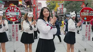 Makudonarudo マクドナルド Namawee Tokyo Bon 2020 