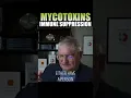 MOLD Doesn t Cause Your Illness It s actually this