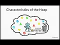 Memory heap and stack in java