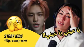 الرأي ورد الفعل Stray Kids Stray Kids 특 S Class M V  الرأي ورد الفعل Stray Kids Stray Kids 특 S Class M V