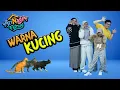 Warna Kucing - Arinaga Family #arinagafamily #laguarinagafamily